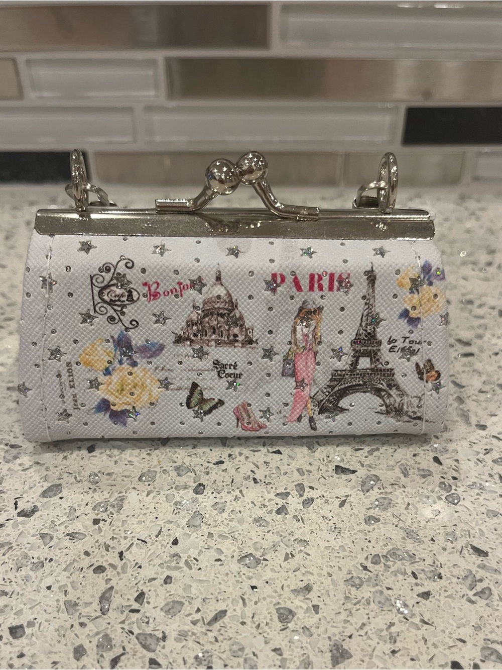 NWOT Mini Parisian Case